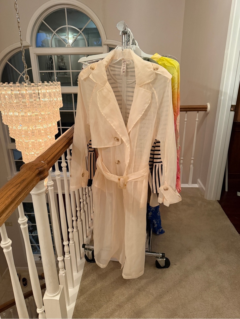 Anthropologie sheer trench coat